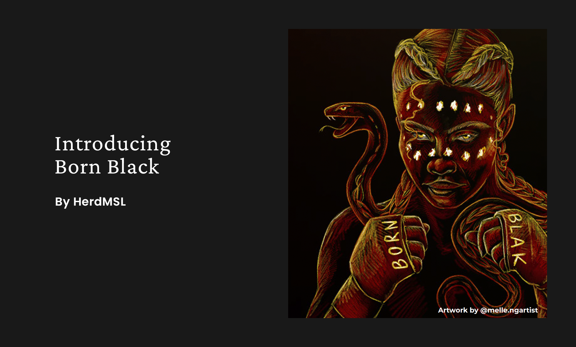 white text on black background - "Introducing Born Black by Herd MSL; first nations drawing of woman with Born Blak on fists