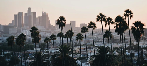 Los Angeles skyline, representing MSL's market presence in Los Angeles.
